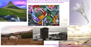 How To Support A PhotoGraphic Artist For Free How To Support A PhotoGraphic Artist For Free